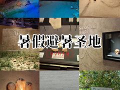 -上海崧泽遗址博物馆