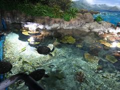 -福州罗源湾海洋世界旅游区