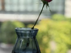 -蔓兰家的四季S0餐厅·融合菜(当代MOMA店)