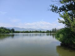 -翠湖国家城市湿地公园