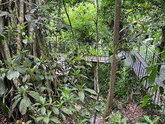 -中国科学院西双版纳热带植物园