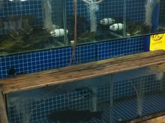 -雷山鱼酱酸汤鱼·酸汤牛肉(花果园T1区店)