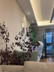 -ROYEA茹彦祛痘·问题肌肤修护中心