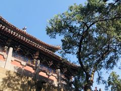 -洛阳白马寺