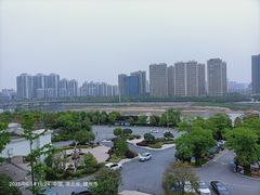 -随州碧桂园凤悦凤凰酒店