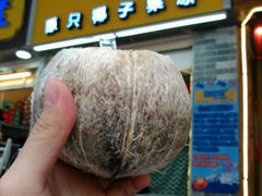 -椰爺爺·椰子冻砵仔糕