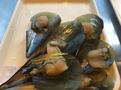 -仙桐吉宴铁板烧·精致料理