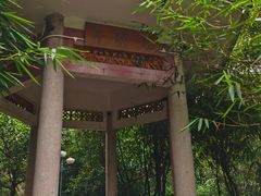 -深圳龙潭公园