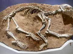 -国家自然博物馆