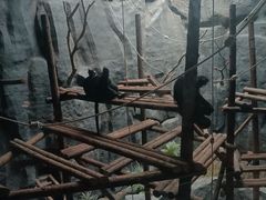 -武汉动物园
