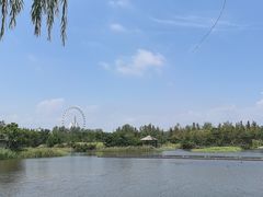 -日照海滨国家森林公园