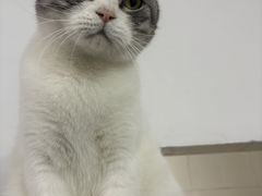 -味千拉面(惠州文昌一路分店)