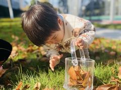 -硅谷蒙学幼儿园