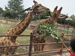 -西安秦岭野生动物园