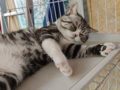 -正阳春烤鸭店(杨楼店)