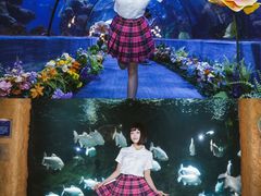 -南昌海洋公园