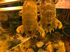 -鲜入围煮花胶鸡海鲜火锅