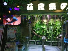 -梦幻海洋王国(吾悦广场张家港店)