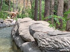 景点-太阳部落