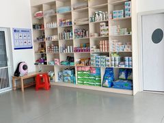 -宠颐生动物医院·猫科·心脏科(海口分院)