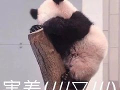 -严氏重油烧麦(民权路店)