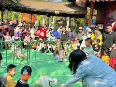 -灵玲国际马戏城