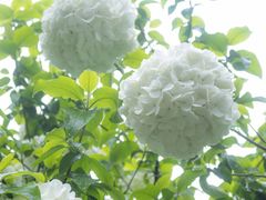 -孝子祠公园