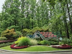 -徐家汇源景区-衡山公园