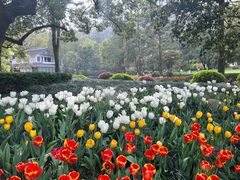 -杭州花家山庄