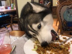 -more than meow吴止猫主题餐厅(承德 中船汇店)