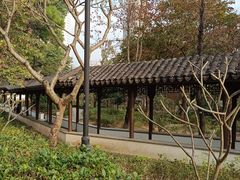 -九龙寨城公园