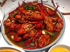 网红爆汁小龙虾-杨氏青龙虾·羊蝎子(金盛路总店)