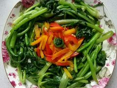-优护优家Ucare月嫂育儿嫂陪伴师(静安店)
