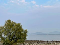 -深圳湾公园(南山区)