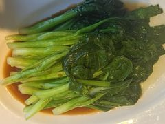 -正兴蜀园(科技园区店)