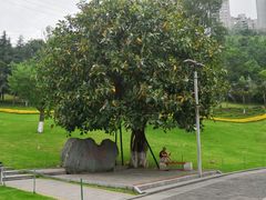 -龙头寺公园