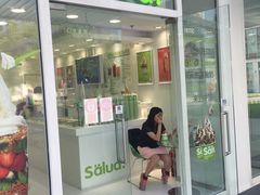门面-Salud撒露欧洲冻酸奶(北苑上品店)