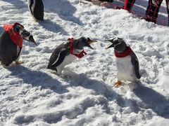 -威海华夏城景区