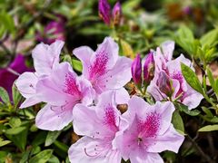 -西山漾湿地公园