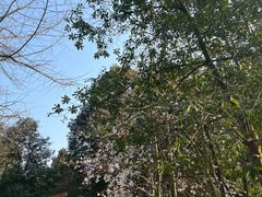 -重庆彩云湖湿地公园