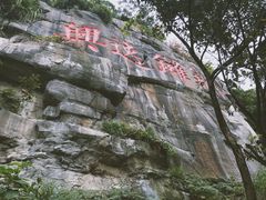 -铁山坪森林公园
