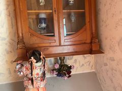 -金山农民画村-枫泾波兰倒置屋