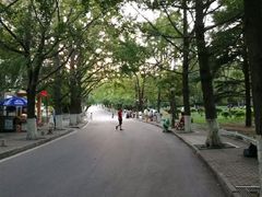 -八大关景区