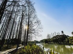 -江心屿景区