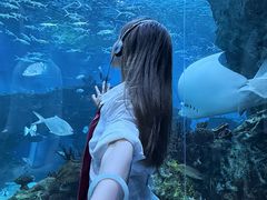 -海合安成都极地海洋公园
