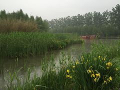 -溱湖国家湿地公园