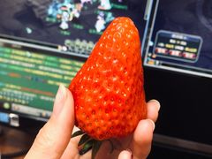 -哈尔信食品超市(哈尔滨王府井购物中心店)