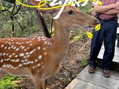 -大连森林动物园