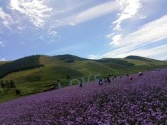 -草原天路(张北县)