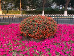 -悦真雅院·四合院·清真私房菜(雍和宫店)